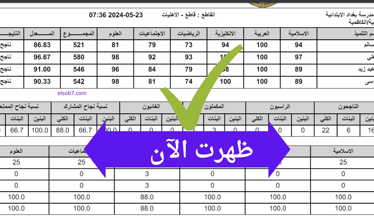 هُنّأَ نتائج كربلاء .. إعلان نتائج السادس الابتدائي ٢٠٢٤ دور أول كربلاء المقدسة pdf كوكل درايف