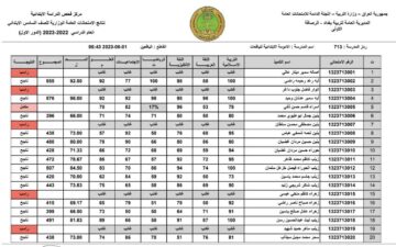 تم الرفع PDF .. رابط نتيجة السادس الابتدائي المثنى 2024 الدور الأول عبر موقع نتائجنا