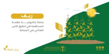 طريقة الاستعلام عن دعم ريف برقم الهوية 1445 عبر موقع reef.gov.sa
