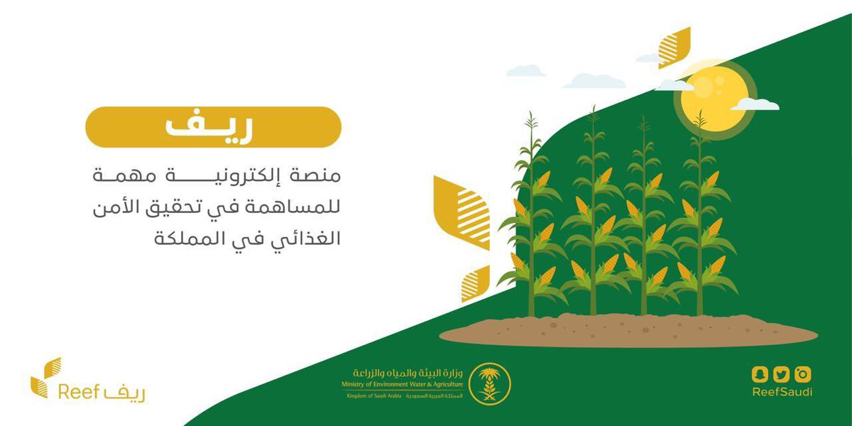 استعلام عن دعم ريف برقم الهوية reef.gov.sa متى ينزل وشروط الدعم المستحق للنساء 1445