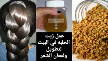 وصفة لوقف التساقط لن تصدقي كثافة شعرك.. طريقة عمل زيت الحلبة للعناية بالشعر بديل لأغلى المنتجات