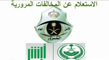 سداد مخالفات المرور إلكترونيا 1 1