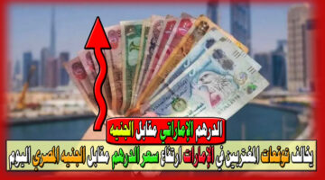 سعر الدرهم الإماراتي مقابل الجنيه المصري