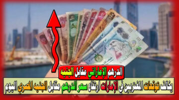يخالف توقعات المغتربين في الإمارات ارتفاع سعر الدرهم الإماراتي مقابل الجنيه المصري اليوم السبت 25 مايو 2024 في البنوك