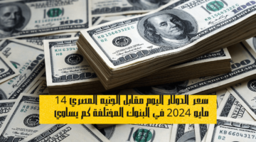 سعر الدولار اليوم مقابل الجنيه المصري
