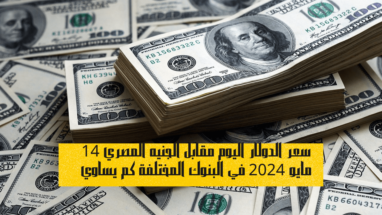 سعر الدولار اليوم مقابل الجنيه المصري 14 مايو 2024 في البنوك المختلفة كم يساوي 5 سعر الدولار اليوم مقابل الجنيه المصري 14 مايو 2024 في البنوك المختلفة كم يساوي
