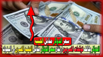 الدولار يخالف توقعات السوق المصري ارتفاع جديد في سعر الدولار مقابل الجنيه المصري في البنوك اليوم 25 مايو 2024