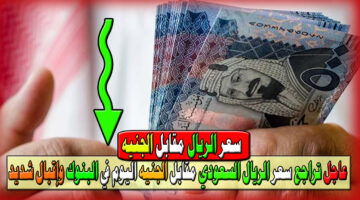 سعر الريال السعودي مقابل الجنيه المصري اليوم 4