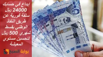 سلفة فورية عن طريق النفاذ الوطني 1