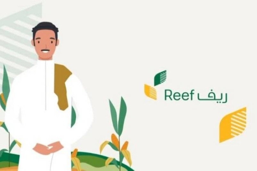 هل يؤثر دعم ريف على الضمان المطور؟ وزارة الموارد البشرية توضح 5 هل يؤثر دعم ريف على الضمان المطور؟ وزارة الموارد البشرية توضح