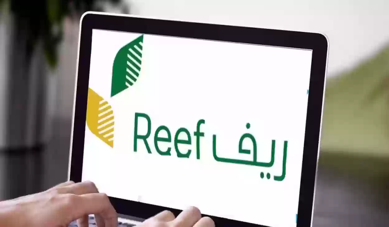 "ما شروط استحقاق دعم ريف لعام 1445" .. إليك خطوات التسجيل للحصول على الدعم في حال كنت مستخدما للمرة الأولى 5 “ما شروط استحقاق دعم ريف لعام 1445” .. إليك خطوات التسجيل للحصول على الدعم في حال كنت مستخدما للمرة الأولى