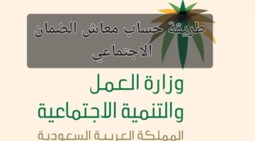 شروط التسجيل في التأهيل الشامل 1 780x470 8