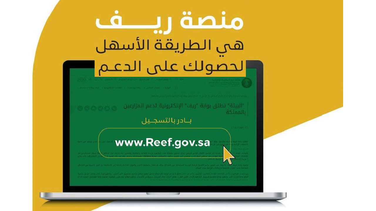 شروط دعم برنامج ريف وكيفية الاستعلام عن استحقاق دفعة شهر مايو 2024 5 شروط دعم برنامج ريف وكيفية الاستعلام عن استحقاق دفعة شهر مايو 2024