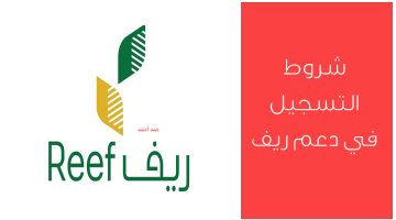شروط دعم ريف