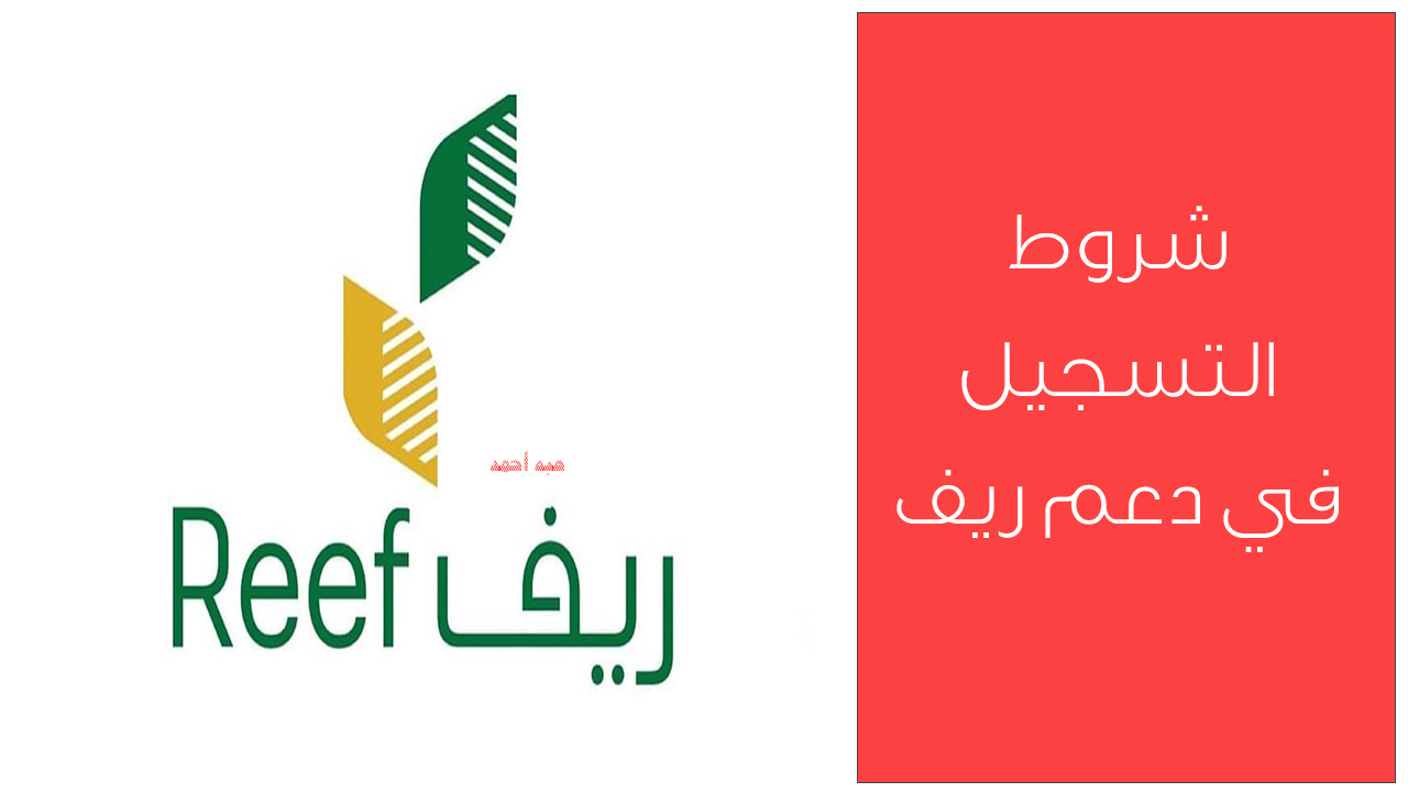 شروط التسجيل في دعم ريف للحصول على الدعم بإجراءات ميسرة
