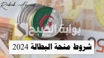 شروط منحة البطالة 2024 في الجزائر