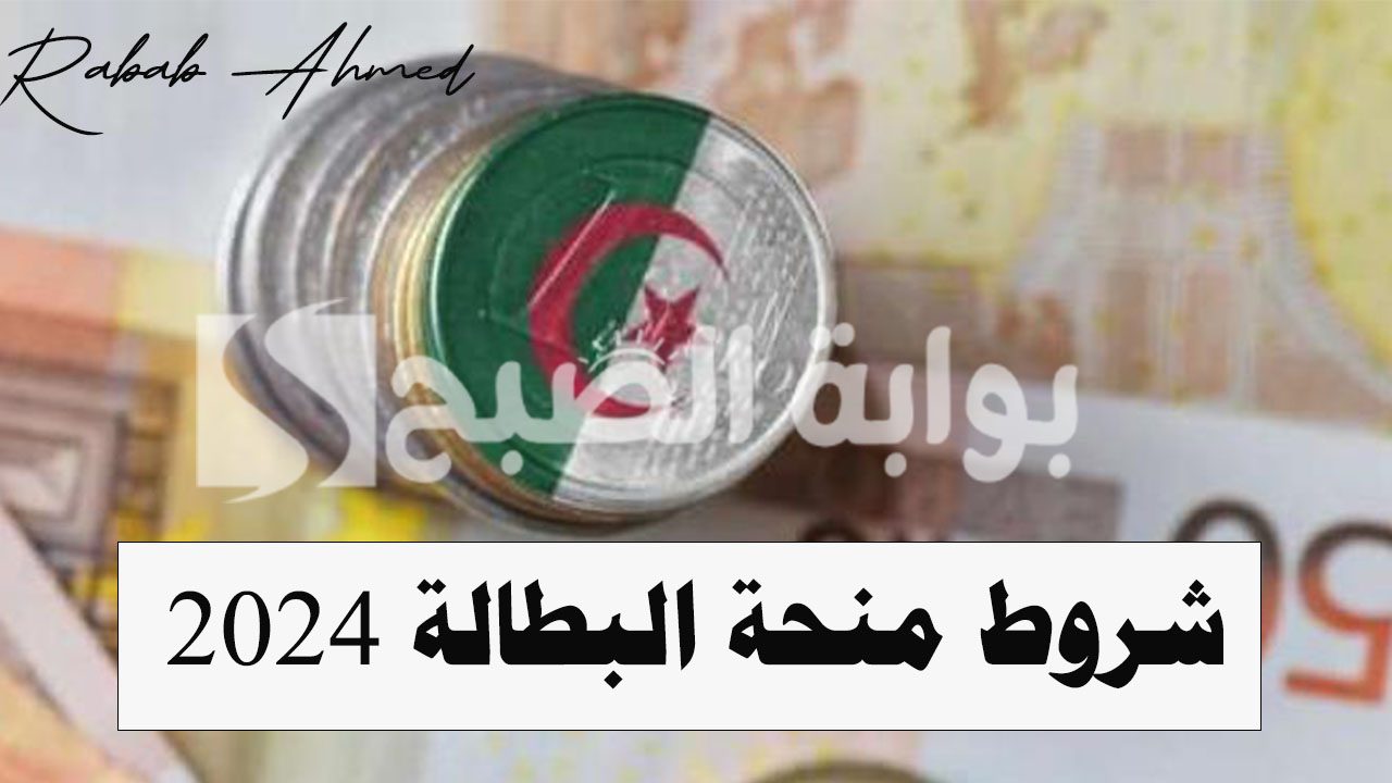 “الوكالة الوطنية للتشغيل توضح”.. شروط منحة البطالة 2024 الجزائر وكيفية تجديدها