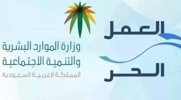 شروط وثيقة العمل الحر