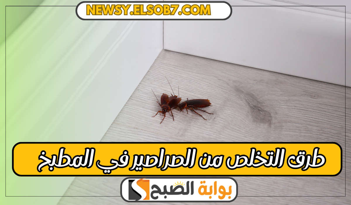 "ودعي الحشرات" طرق التخلص من الصراصير في المطبخ بمكونات من البيت وغير ضارة 5 “ودعي الحشرات” طرق التخلص من الصراصير في المطبخ بمكونات من البيت وغير ضارة