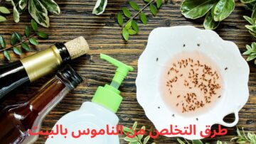 وصفة ناجحة لطرد الناموس والتخلص منه نهائياً من المنزل ومش هتلاقي ولا ناموسة في بيتك