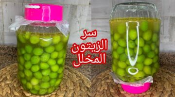 طرق تخليل الزيتون