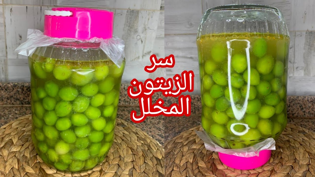لكل ست بيت.. طرق تخليل الزيتون بشكل صحيح !! 5 لكل ست بيت.. طرق تخليل الزيتون بشكل صحيح !!