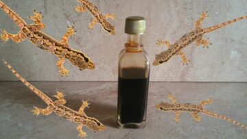 طرد البرص من البيت بهذا المكون الغريب وانسي الريحة والمطاردة طول اليوم