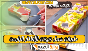 “بدون بيض ولا فرن” طريقة عمل كيكة الأفاتار الباردة بمكونات بسيطة وطريقة تبهرك