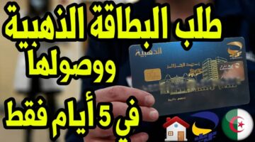 طلب البطاقة الذهبية في 5 أيام 3