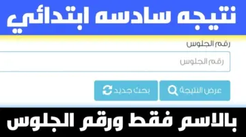 ظهرت؟ نتيجة السادس الإبتدائي الترم الثاني بمحافظة القاهرة والشرقية والاسكندرية وباقي محافظات مصر 2024.jpg