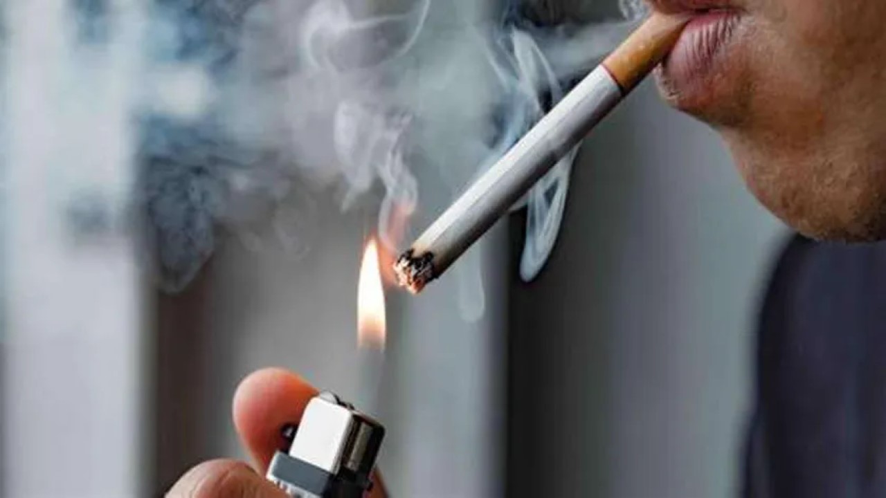 بينها الإقلاع عن التدخين.. عادات صحية للحد من خطر الوفاة المبكرة