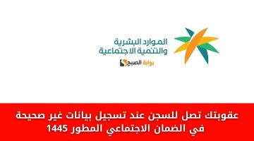 عقوبتك تصل للسجن عند تسجيل بيانات غير صحيحة في الضمان الاجتماعي المطور 1445