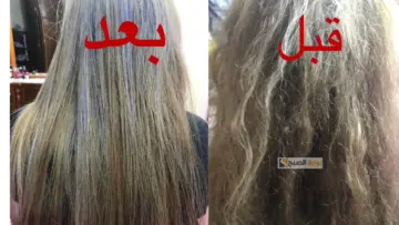 أفضل وصفة طبيعية لإصلاح الشعر التالف وعلاج التقصف .. امتلكي “شعر انسيابي بدون هيشان”