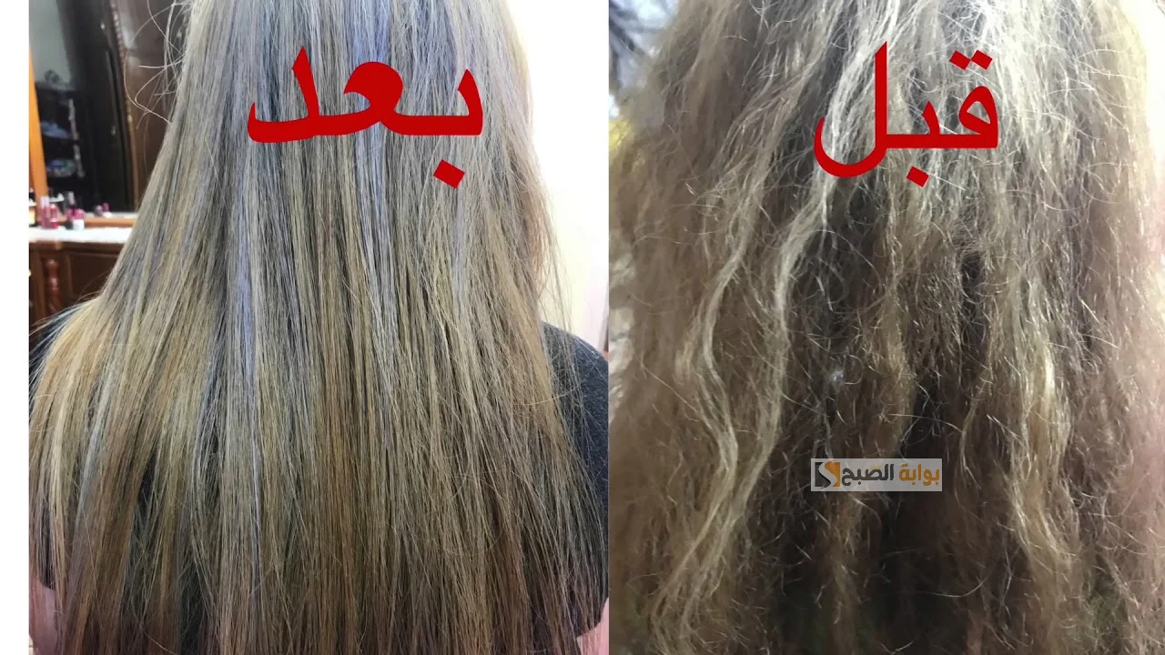 أفضل وصفة طبيعية لإصلاح الشعر التالف وعلاج التقصف .. امتلكي “شعر انسيابي بدون هيشان” 5 أفضل وصفة طبيعية لإصلاح الشعر التالف وعلاج التقصف .. امتلكي “شعر انسيابي بدون هيشان”