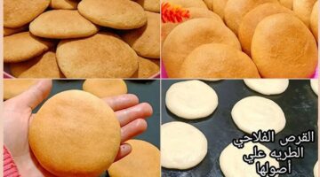 عمل القرص الفلاحي