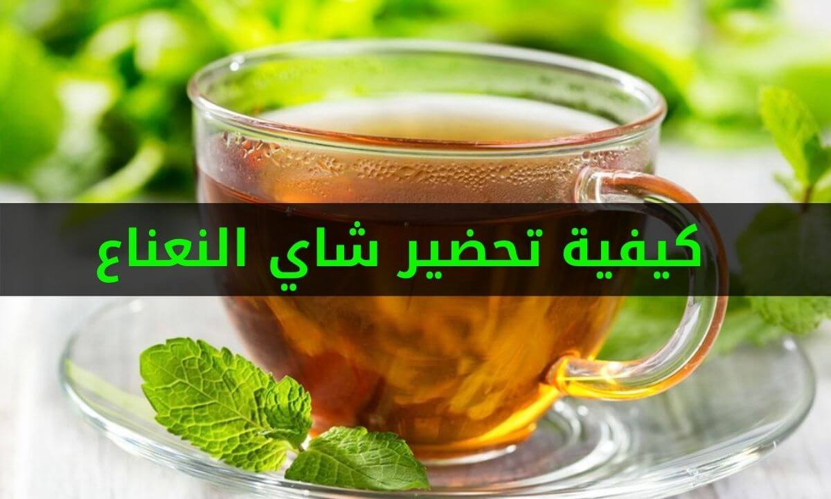 كيفية تحضير الشاي بالنعناع علي أصولها بفوائده المدهشة 5 كيفية تحضير الشاي بالنعناع علي أصولها بفوائده المدهشة