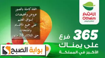 لاتالتال 2