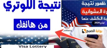 أسهل طريقة لمعرفة نتيجة الهجرة العشوائية لأمريكا 2024- 2025 اللوتري الأمريكي
