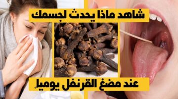 ماذا يحدث عند مضغ حبات القرنفل قبل النوم