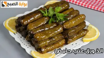 محشي ورق العنب