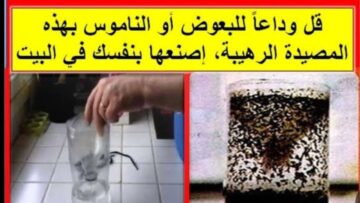 مصيدة منزلية لطرد الذباب من البيت هتنسيهولك في دقايق وتخلصي من زهق الحشرات