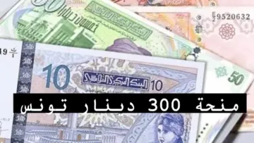 “ســـجل فورا هُنـــــا social.gov.tn“ التسجيل في منحة 300 دينار 2024 تونس والشروط المطلوبة