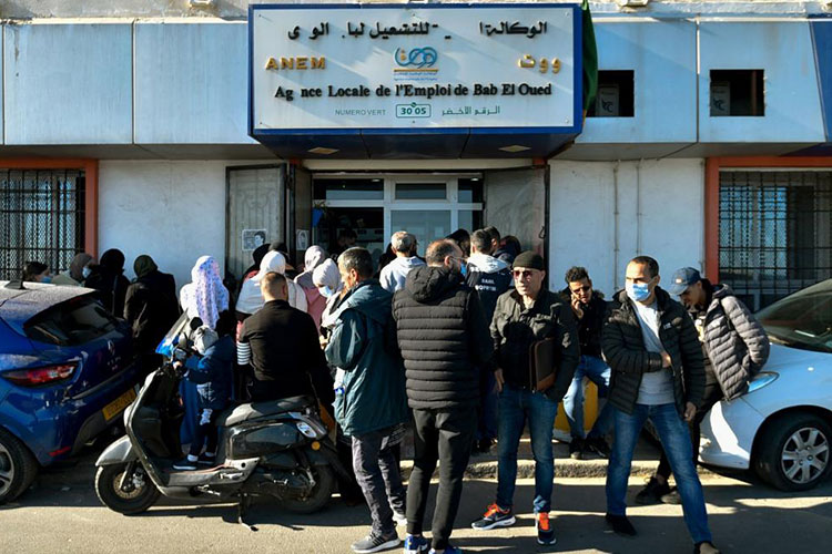 خطوات التسجيل في منحة البطالة بالجزائر 2024 والمستندات المطلوبة
