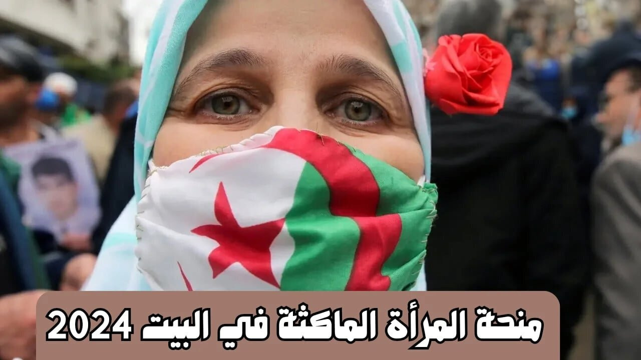 “800 دينار جزائري“ التسجيل في منحة المرأة الماكثة في البيت 2024 بالجزائر الوكالة الوطنية للتشغيل anem.dz