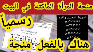 “الوكالة الوطنية للتشغيل”.. توضح رابط وشروط الحصول على منحة المرأة الماكثة في البيت 2024 بالجزائر