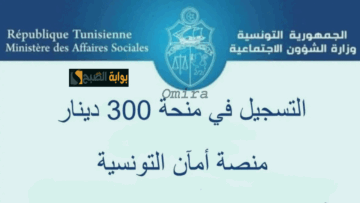 التسجيل في منحة 300 دينار تونس 2024|الشروط المطلوبة + خطوات التقديم عبر eservices.social.gov