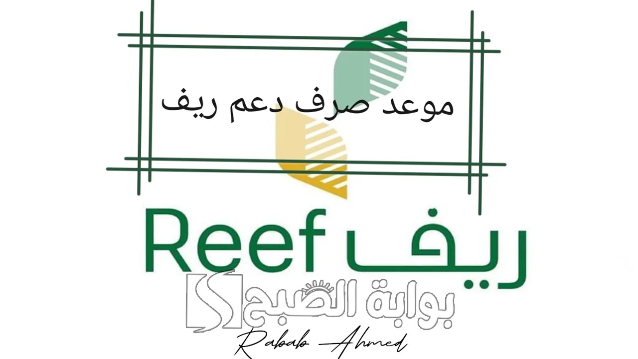 متى موعد صرف دعم ريف للأسر المنتجة وأهم الشروط الواجب توافرها 5 متى موعد صرف دعم ريف للأسر المنتجة وأهم الشروط الواجب توافرها