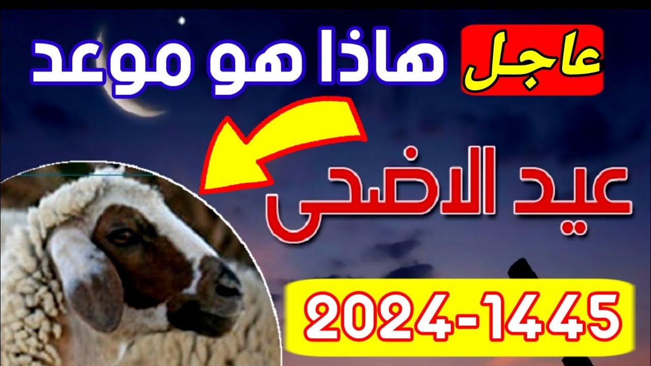 العيد امتى .. موعد عيد الأضحى المبارك 2024 في مصر ووقفة عرفات وعدد أيام الإجازة الرسمية للعاملين بالدولة 2 العيد امتى .. موعد عيد الأضحى المبارك 2024 في مصر ووقفة عرفات وعدد أيام الإجازة الرسمية للعاملين بالدولة