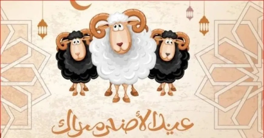 استعدوا لاحتفالات العيد.. متى يكون موعد عيد الأضحى المبارك في الجزائر؟ 5 استعدوا لاحتفالات العيد.. متى يكون موعد عيد الأضحى المبارك في الجزائر؟