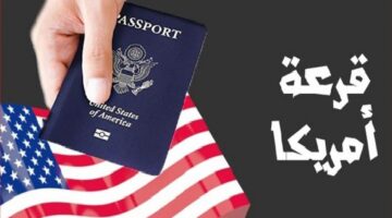 موقع الهجرة العشوائية 2024